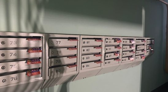 Рассылка листовок от сети ресторанов в Перми