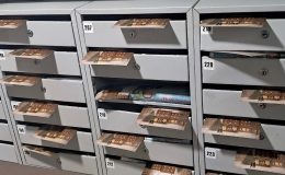 Почтовая рассылка открыток в Перми